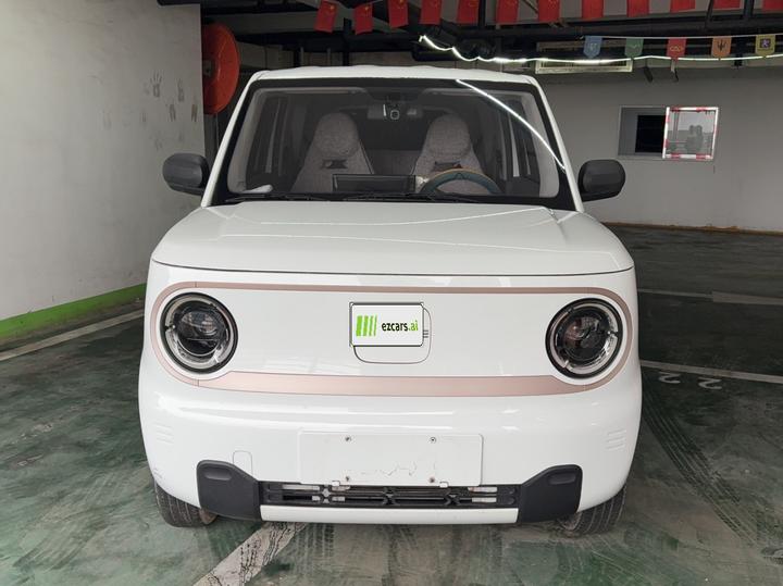2023 Panda mini 200km Endurance Bear photo 2