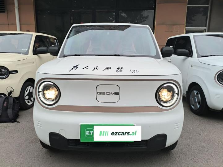 2024 Panda mini 200km Endurance Bear photo 2