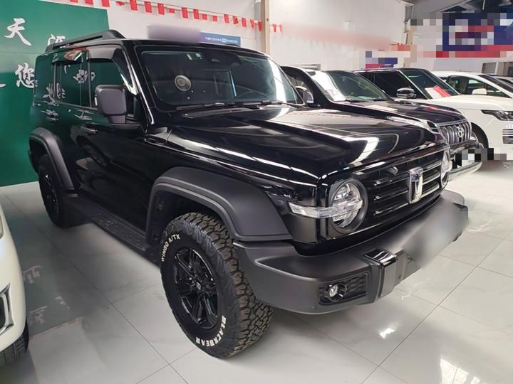300 2023 Off-road 2.0T Conqueror photo 3