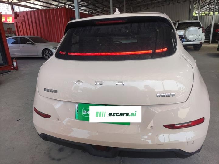 Good Cat 2022 400km Standard Range Luxury NCM photo 3