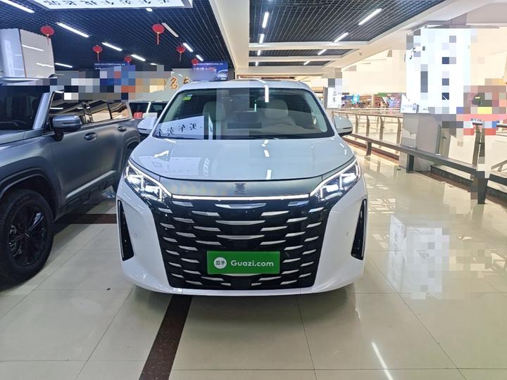 2025 DM-i 1.5T 180km photo 2
