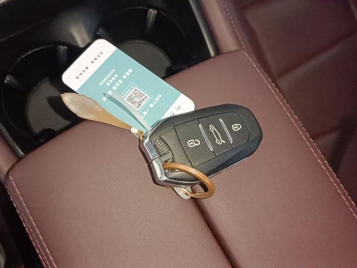 9 EV 2021 1.6T E-TENSE PHEV photo 8