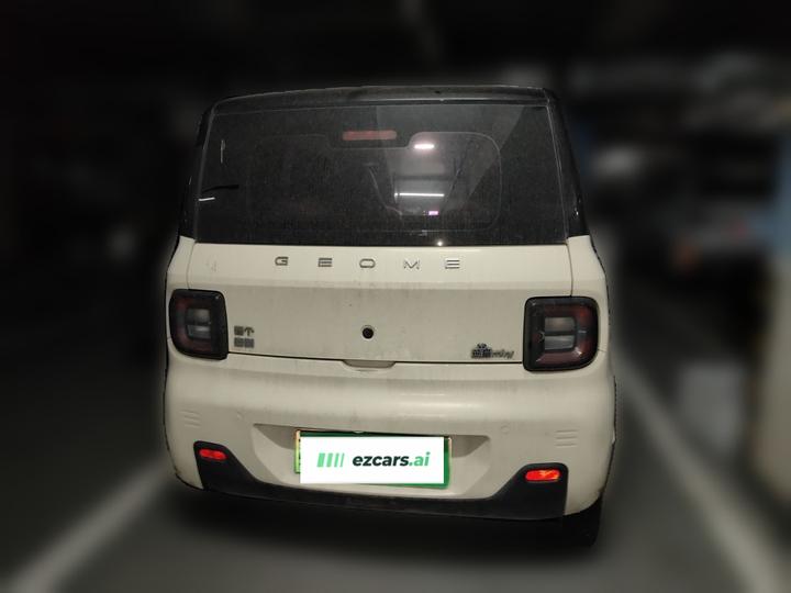 2023 Panda mini 200km Endurance Bear photo 5