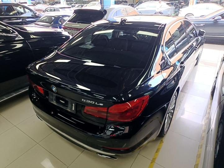5 Series EV 2019 530Le Luxury photo 6