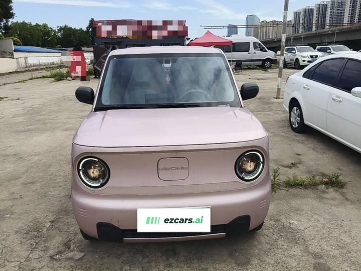 2024 Panda mini 200km Endurance Bear photo 2