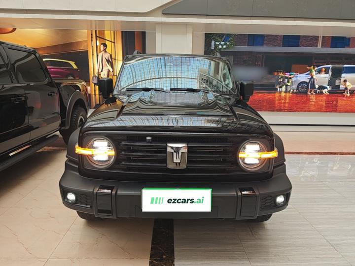 300 2024 2.0T Conqueror photo 2
