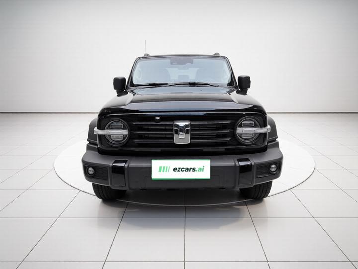 300 2024 2.0T photo 2