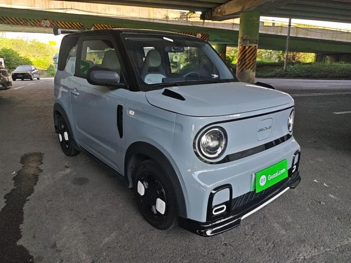 2025 210km Panda photo 3