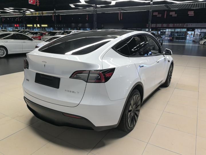 Model Y 2021 Standard Range RWD photo 4