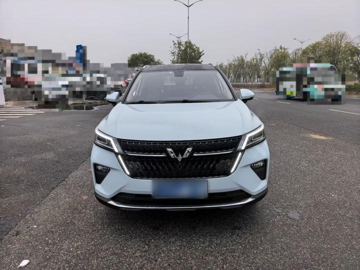 Wuling 2022 2.0L DHT photo 2