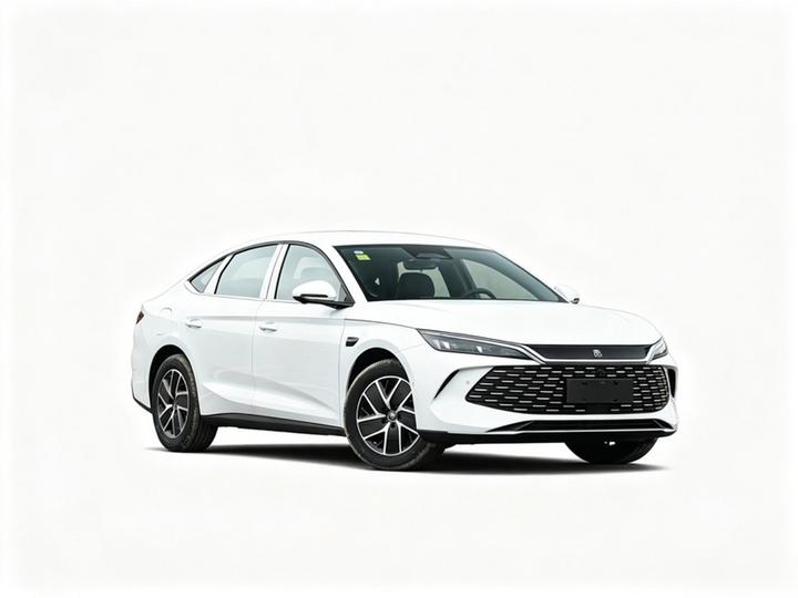 Qin L 2026 DM-i 210KM photo 2