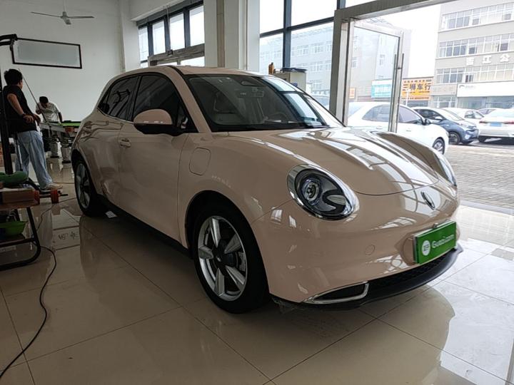 Good Cat 2023 401km Standard Range Noble LFP photo 3