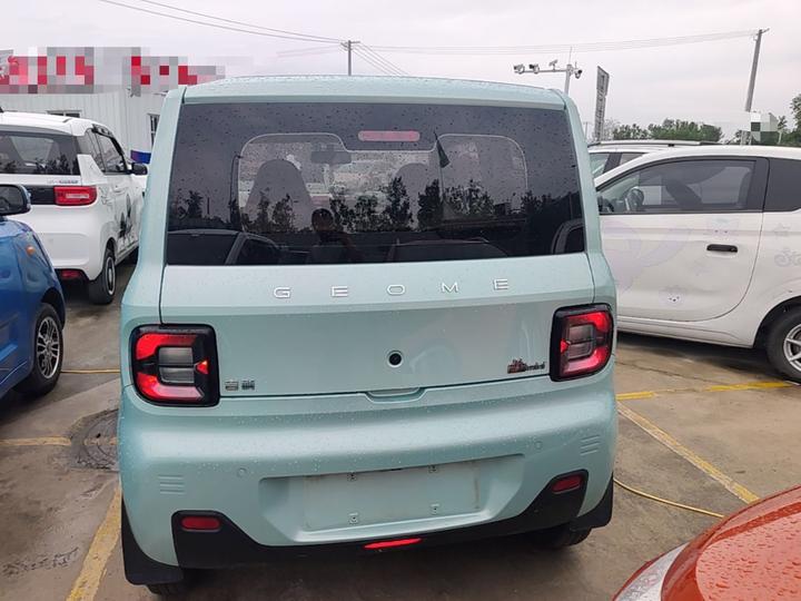 2023 Panda mini 200km Endurance Bear photo 3