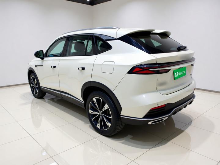 RX5 EV 2023 eRX5 photo 4