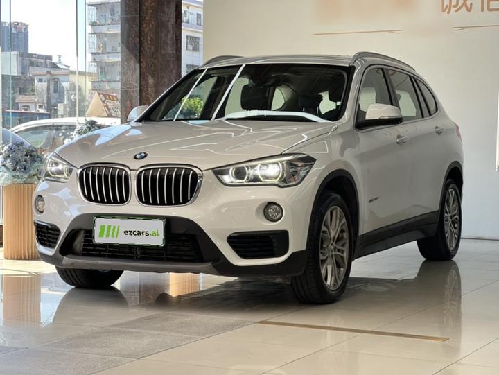 X1 2018 sDrive20Li Leading