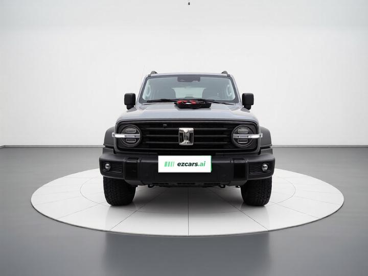 300 2024 2.0T Conqueror photo 2