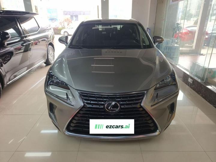 NX 2018 300 FWD photo 2