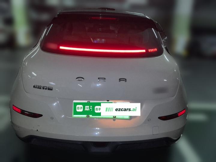 Good Cat 2021 400km Standard Range LFP photo 3
