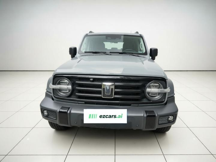 300 2021 Off-road 2.0T photo 2