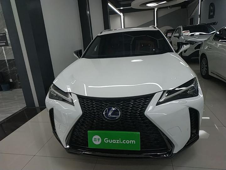 UX 2019 260h F SPORT China VI photo 2