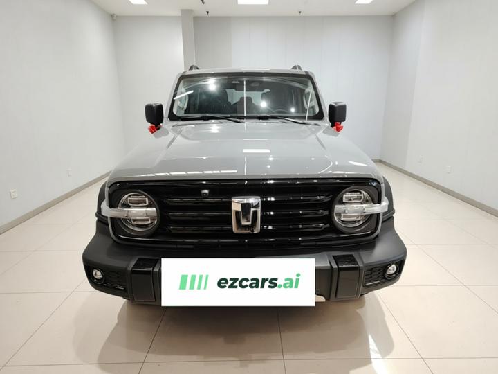 300 2021 Off-road 2.0T Conqueror photo 2