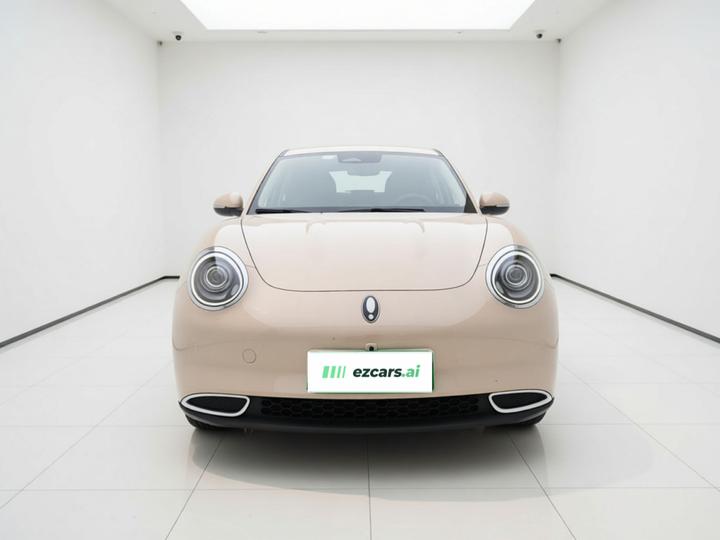 Good Cat 2024 401km Luxury photo 2