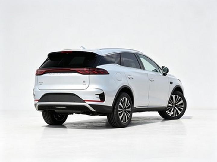 Tang EV 2025 ADAS DM-i 175KM Noble photo 4