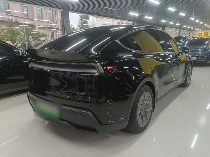 Model Y L 2025 Long Range AWD photo 6