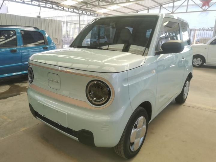 2023 Panda mini 200km Endurance Bear