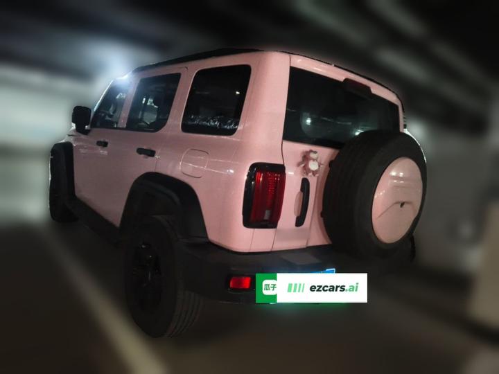 300 2021 Off-road 2.0T photo 5