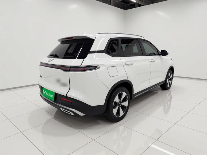Wuling 2023 2.0L DHT Standard photo 6