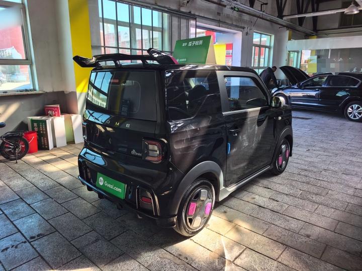 2025 210km Panda photo 5