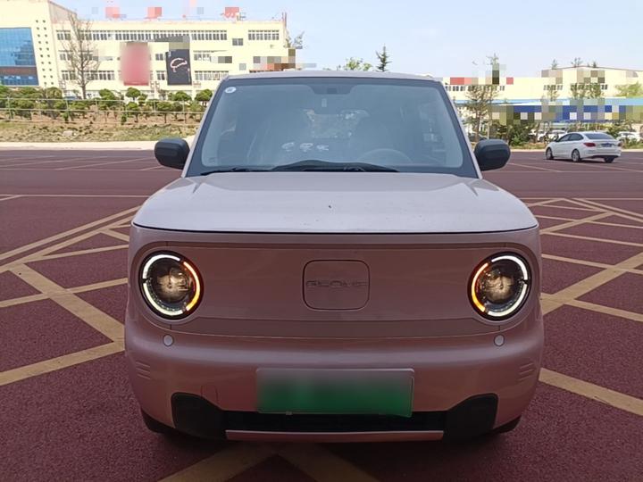 2024 Panda mini 200km Endurance Bear photo 2