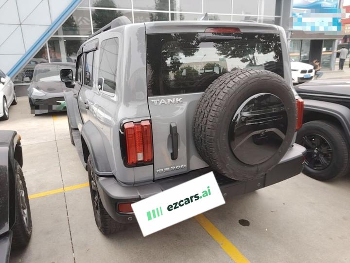 300 2021 Off-road 2.0T Conqueror photo 4
