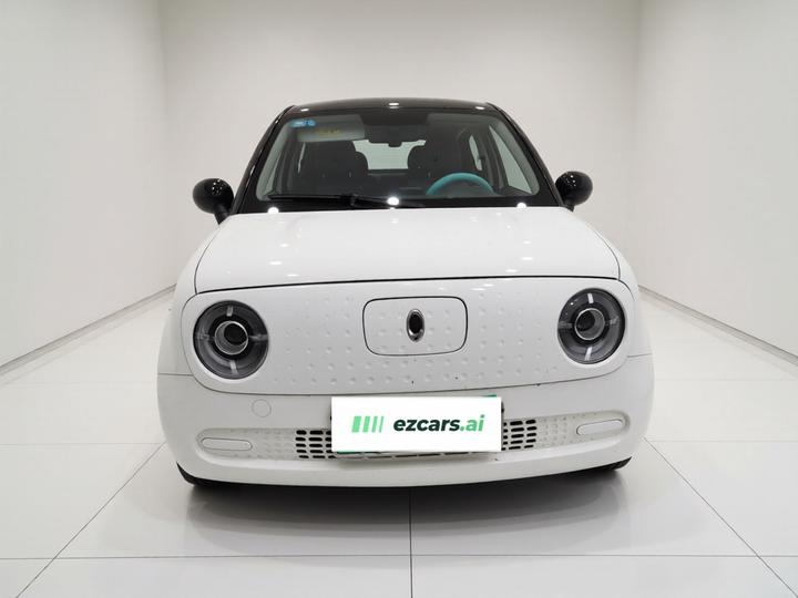 2019 301km Standard photo 2