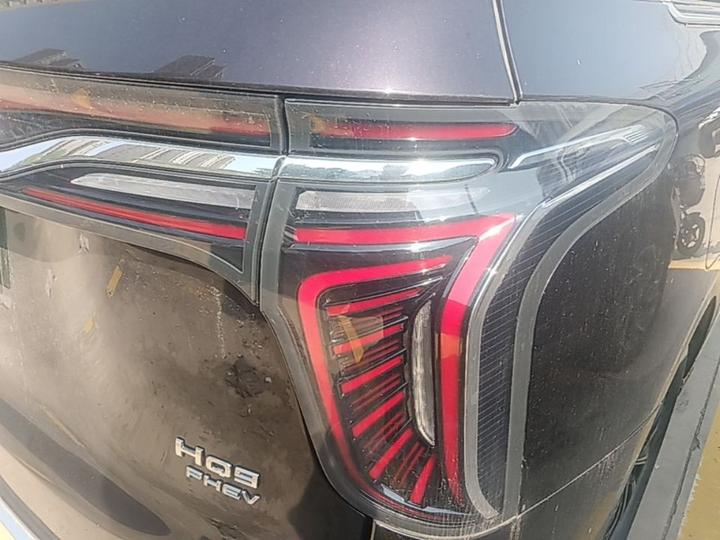 HQ9 PHEV 2024 2.0T AWD Business photo 7