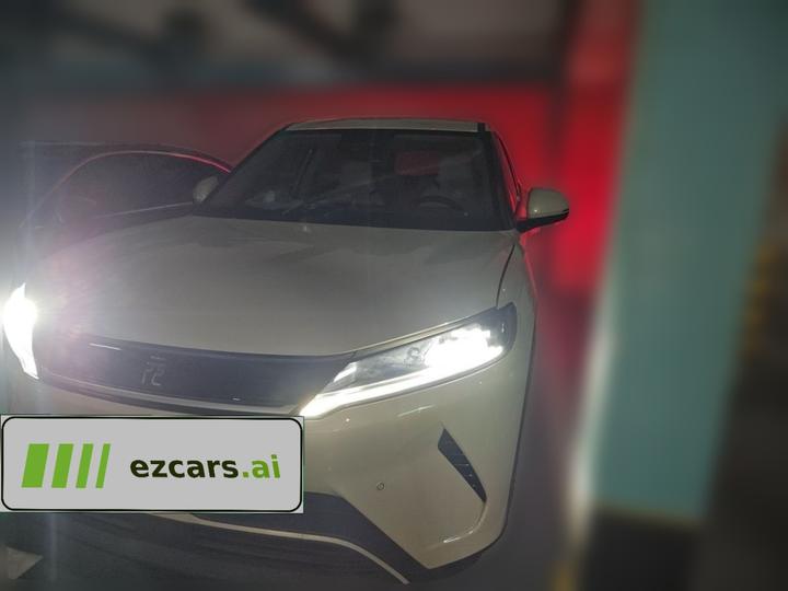Yuan UP 2025 ADAS 401KM Leading