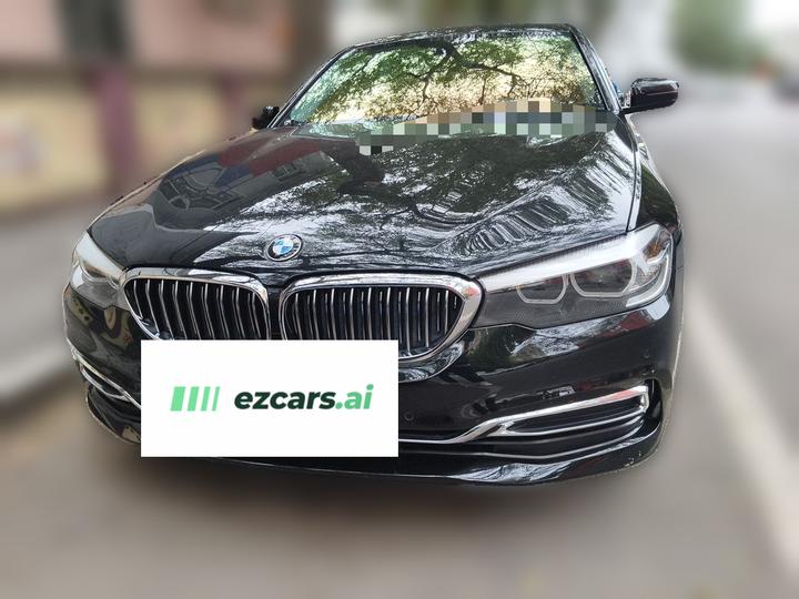 5 Series 2019 Facelift 530Li Leading Luxury photo 2