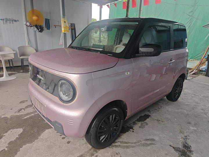 2024 Panda mini 200km Endurance Bear