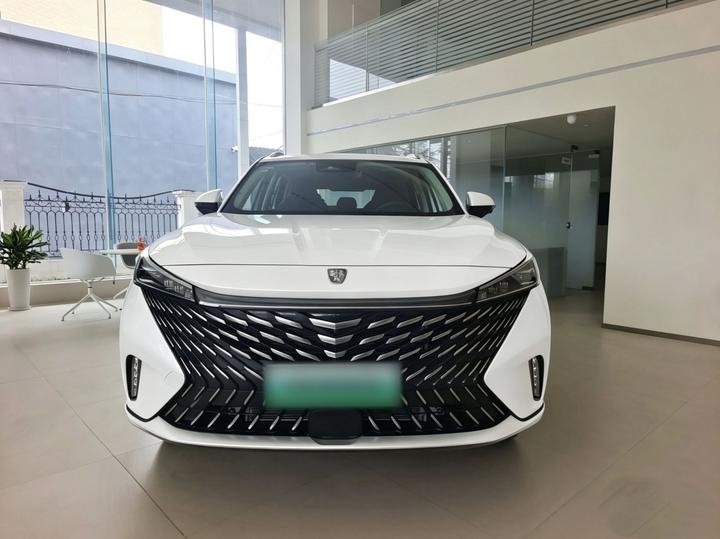 RX5 EV 2023 eRX5 photo 2