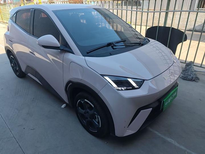 Seagull 2023 photo 3