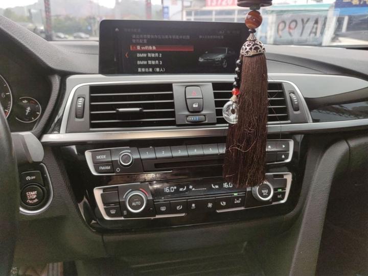 3 Series 2019 320Li Fashion photo 8