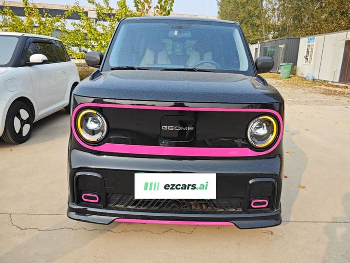 2025 210km Panda photo 2