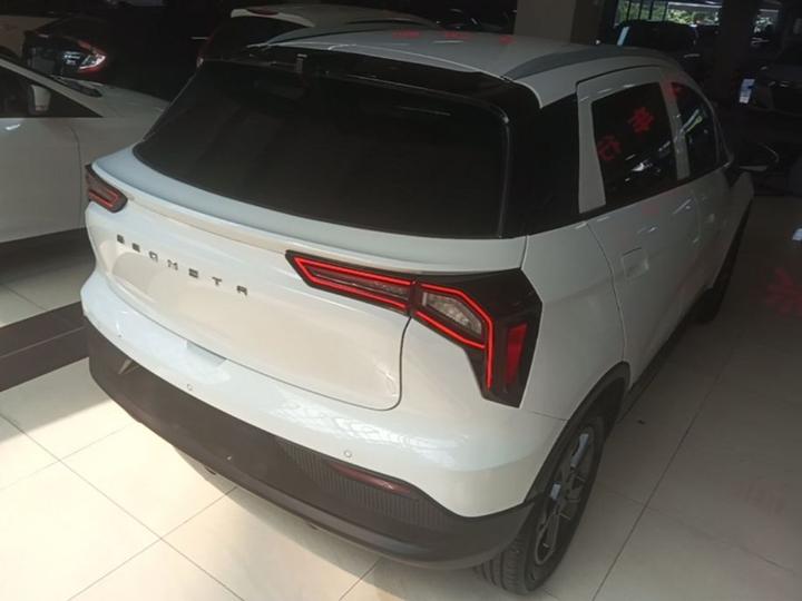 E Firefly 2022 401KM 4-Seater photo 4