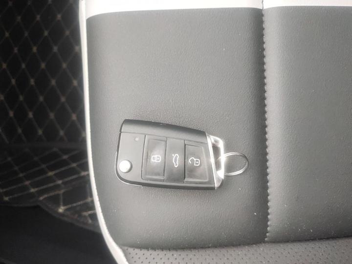 T-Roc 2024 300TSI DSG RWD photo 8