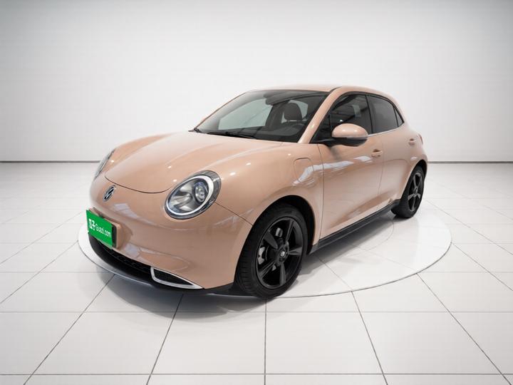 Good Cat 2024 401km Luxury