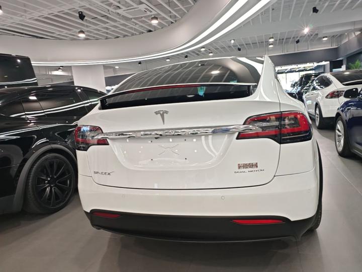 Model X 2019 Standard Range photo 3
