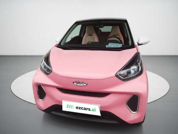 QQ Little Ant 2021 20 NCM 301km photo 2