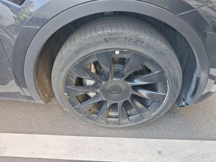 Model Y 2024 RWD photo 8