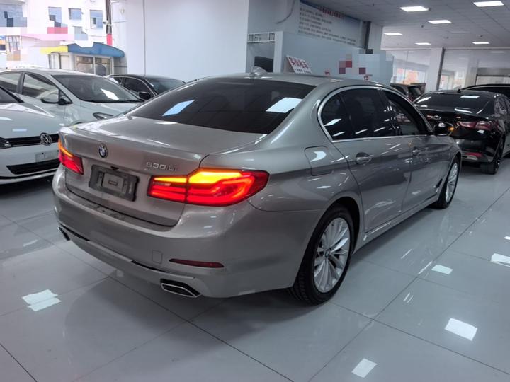 5 Series 2020 530Li Leading Luxury photo 4